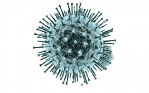 Virus PNG-43353